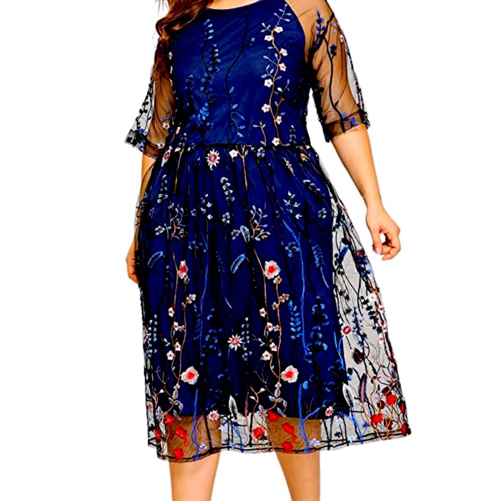 Navy dress, sheer and beautiful embroidery.